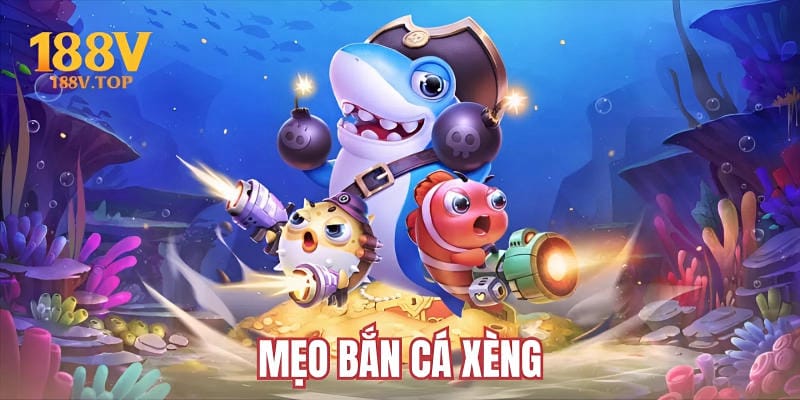 meo-ban-ca-xeng