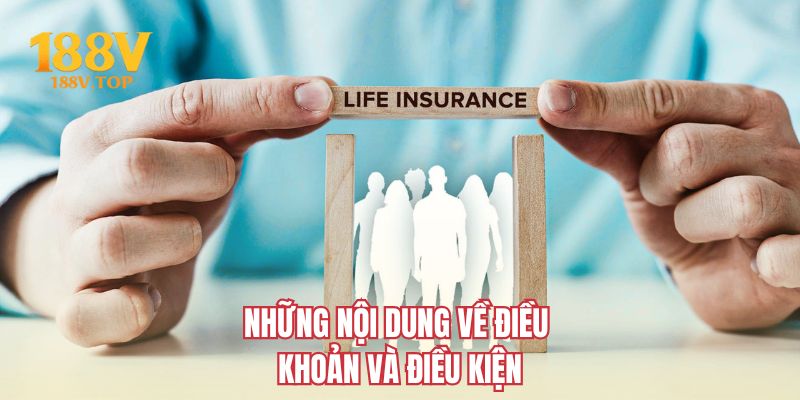 Những nội dung về điều khoản và điều kiện